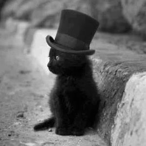 Meet your Posher, Jake